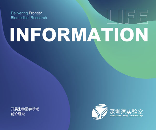 活力“網(wǎng)”聚：網(wǎng)球俱樂部VI設(shè)計的青春密碼