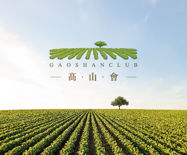 品牌VI設計如何在不同媒體平臺上展示一致性？