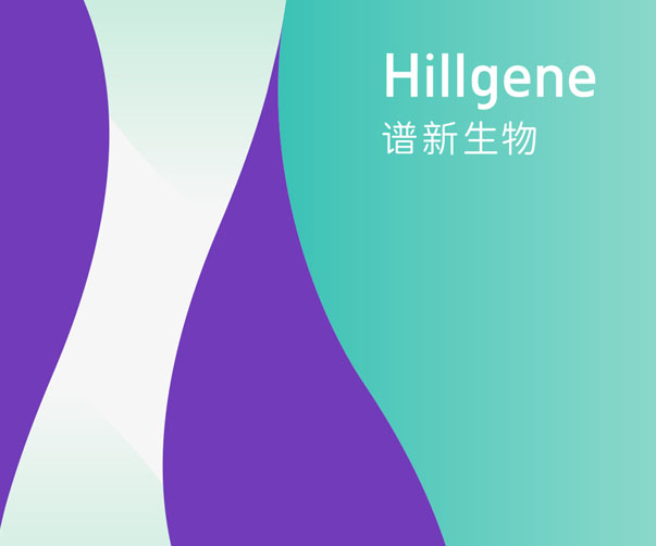如何評估品牌VI設計的效果？